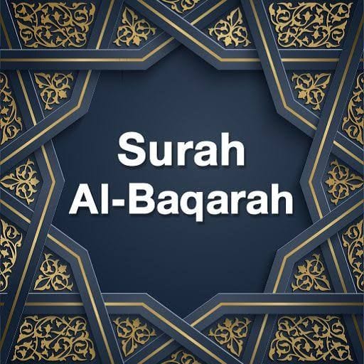 images2845296231738595911800807