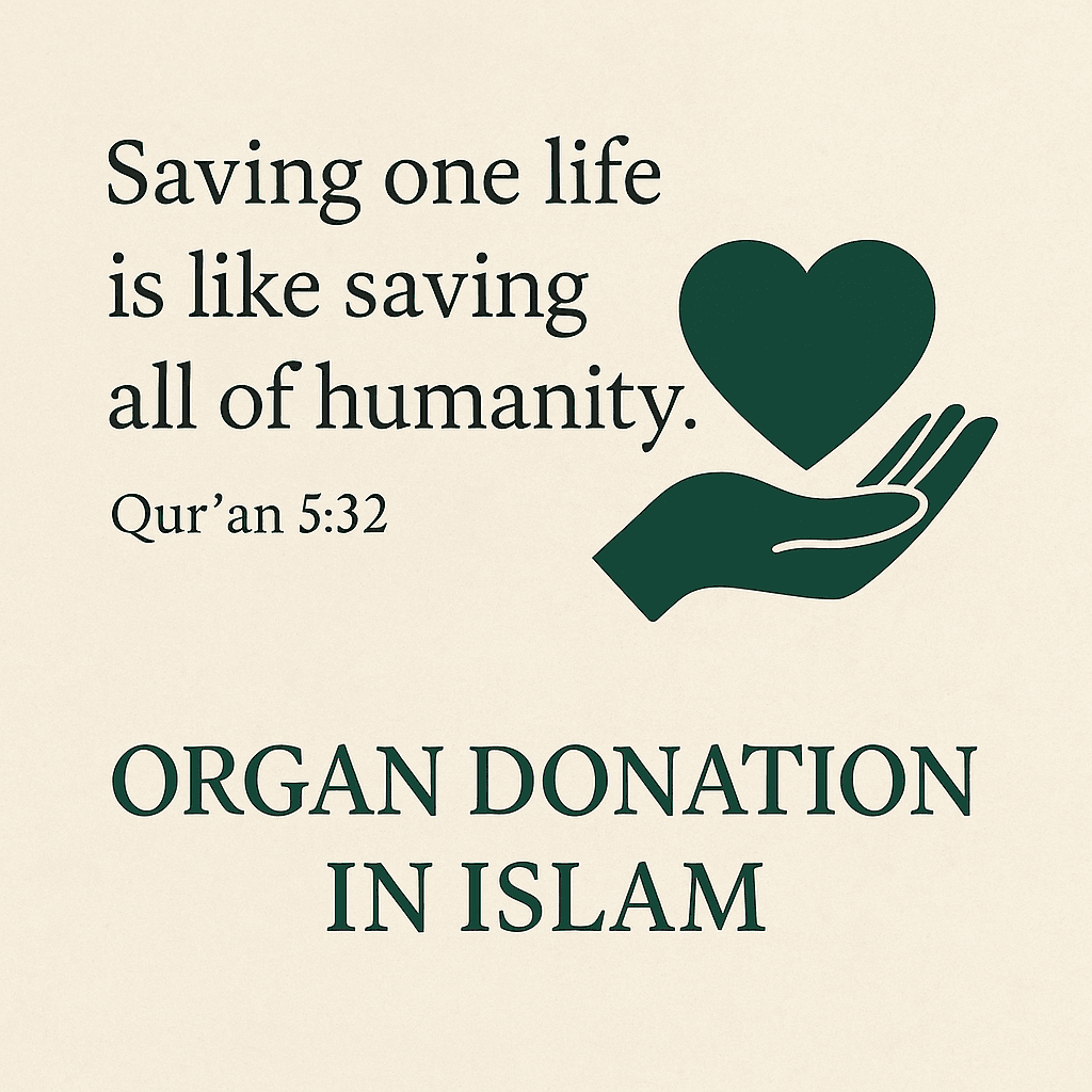 file_00000000da2061fd8b8a81416854ad1c