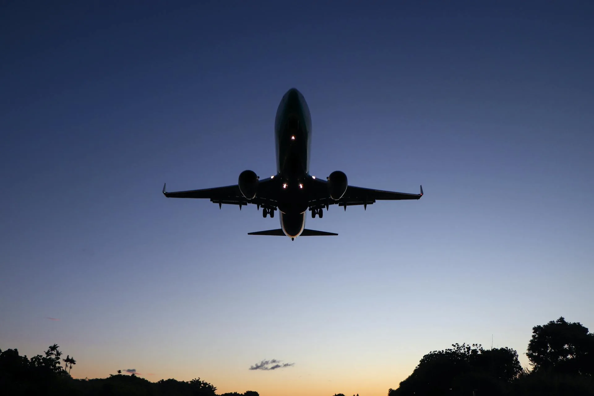 Passenger jet silhouette approaching for landing over treeline at twilight, with landing gear down and lights on.